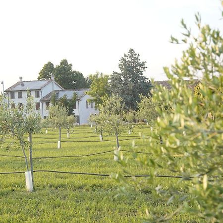 Casa Di Alba - Alloggi Turistici Leilighet Vigolzone Eksteriør bilde